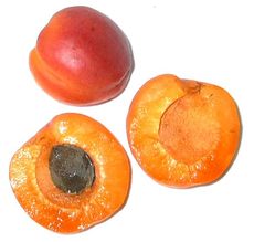 Aprikosen-zerteilt.jpg